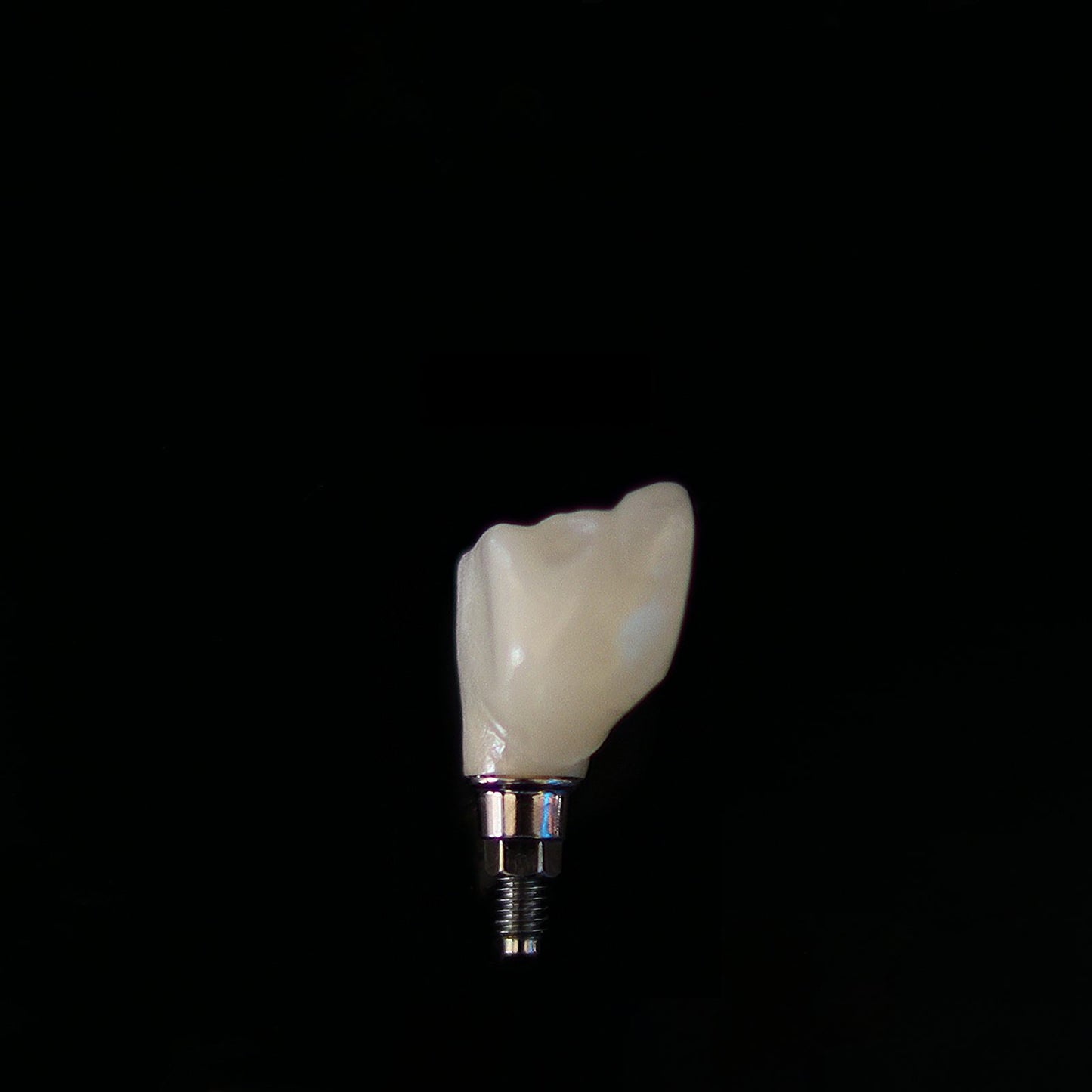 Tooth on dark background – stock photo (Unsplash)